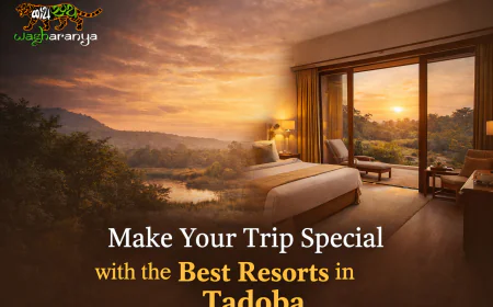 Make Your Trip Special with the Best Resorts in Tadoba