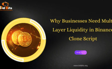 Why Businesses Need Multi-Layer Liquidity in Binance Clone Script