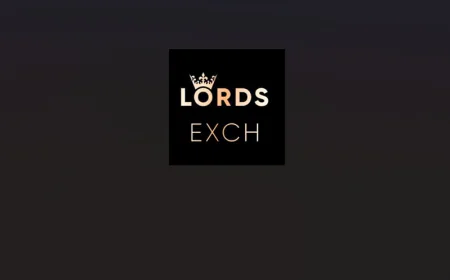 LordExchange – A Modern Destination for Sports and Online Gaming