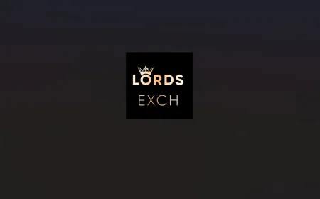 LordExchange: A Complete Guide to Online Sports Betting and Gaming Platform