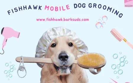 tress Free Grooming At Your Doorstep For Dogs