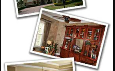 Interior Painting Guide Room by Room for Best Results