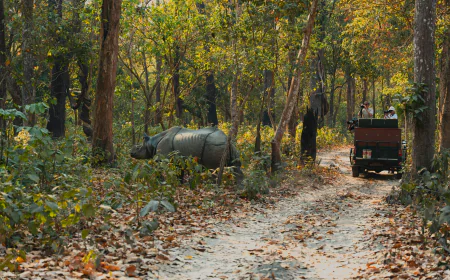 From Mountains to Wildlife: Your Ultimate Kathmandu-Pokhara-Chitwan Adventure