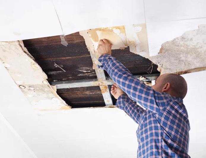 Drywall Restoration Contractors Fort Myers FL: Complete Guide to Repairing and Restoring Walls