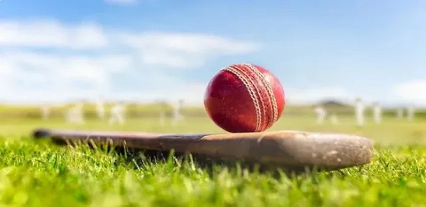 Tiger Exchange Explained: How Modern Cricket Platforms Like Tigerxplay & Tigerinsightx Improve the Experience