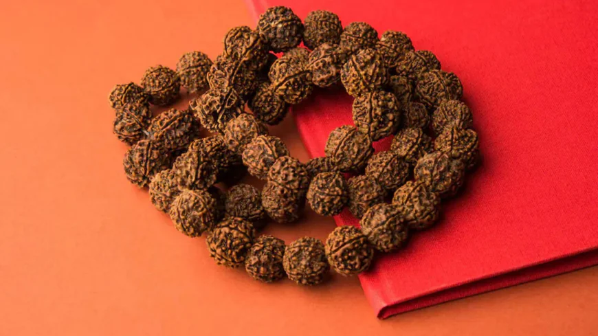 Rudraksha Calculator – Accurate Gemstone & Numerology Guidance for a Better Life