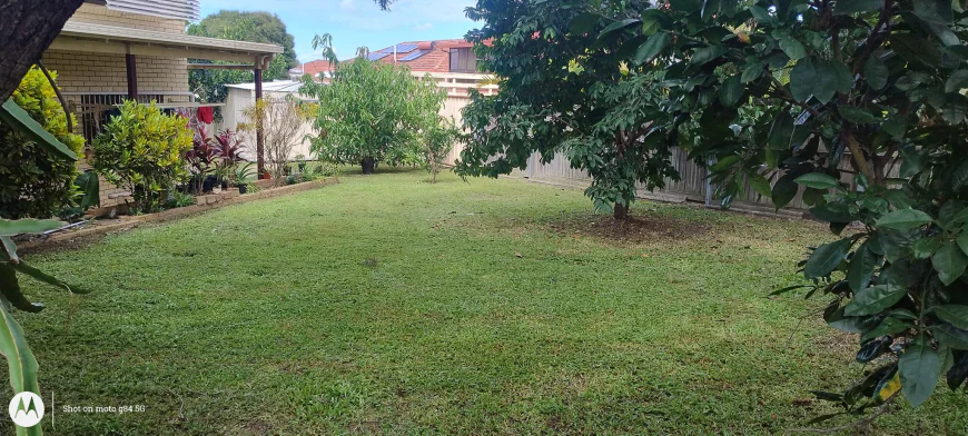 Expert Lawn Mowing, Lawn Cutting & Lawn Maintenance in Brisbane