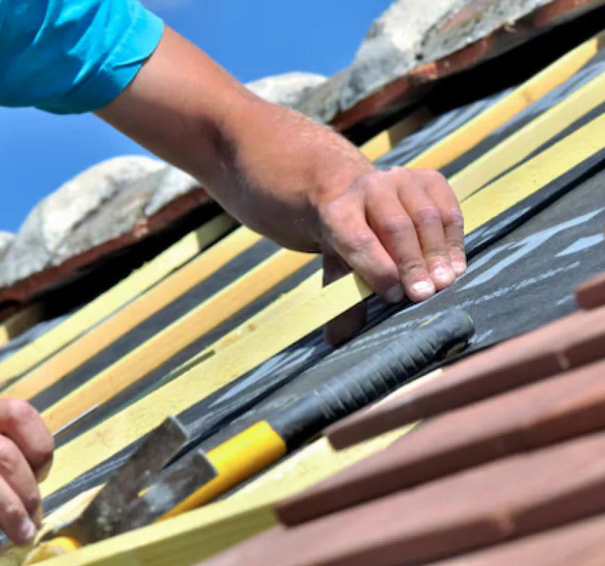 Expert Roof Repair Solutions for Long-Lasting Protection