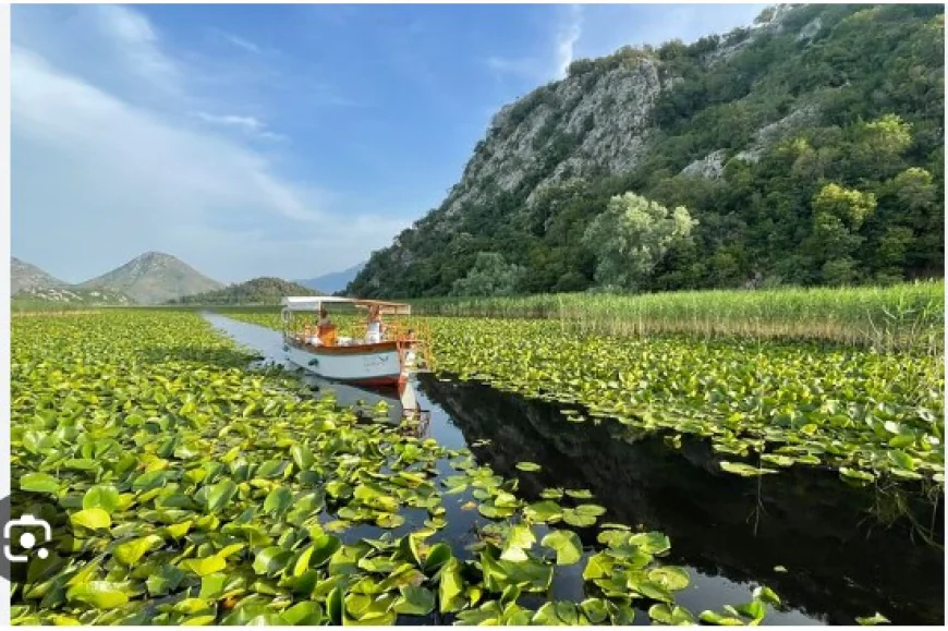 Boat Tour on Skadar Lake: A Journey Through Montenegro’s Natural Treasure