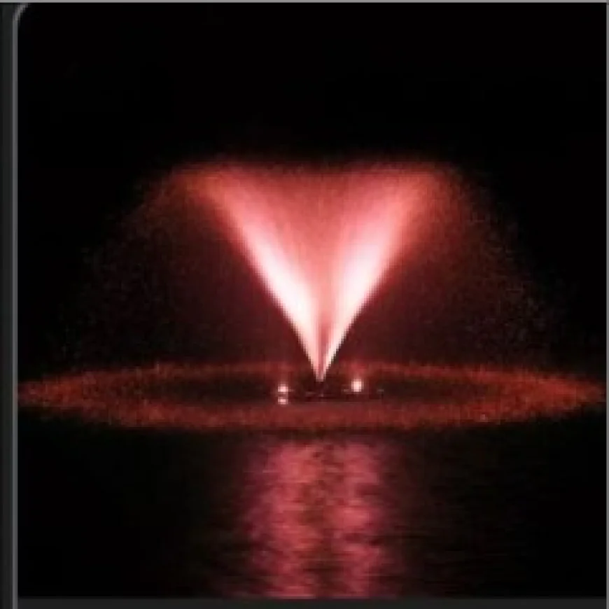 Choosing the Right 1 2 HP Floating Pond Fountain