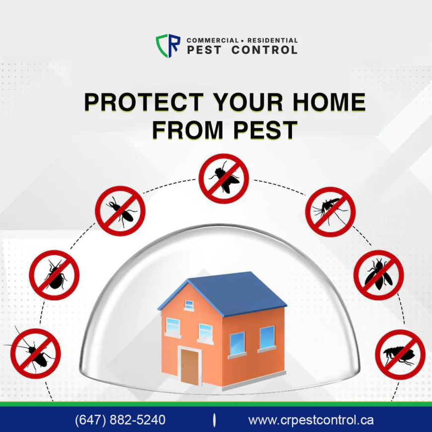 Signs You Need Pest Control Help in Pickering