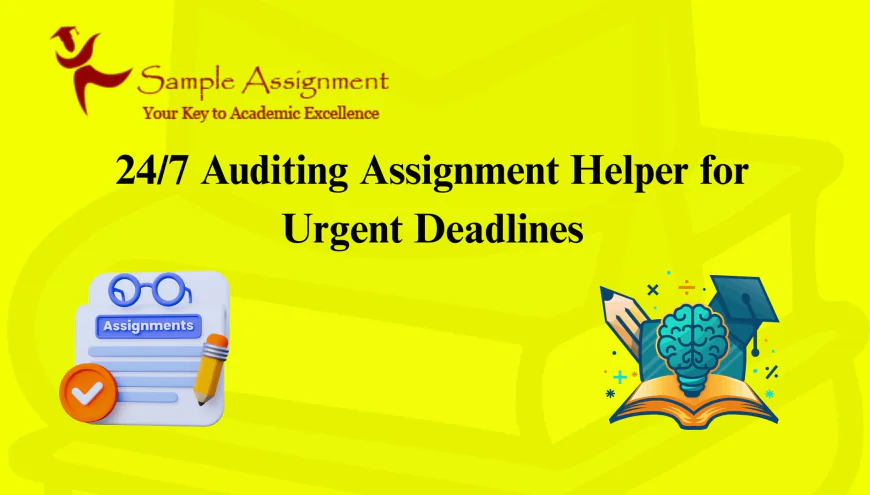 24/7 Auditing Assignment Helper for Urgent Deadlines