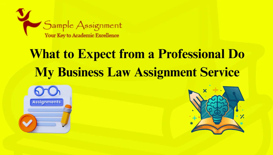 What to Expect from a Professional Do My Business Law Assignment Service