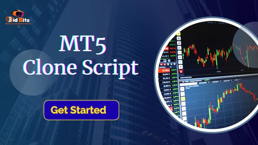 MT5 Clone Script with Secure API Integration and Liquidity Management
