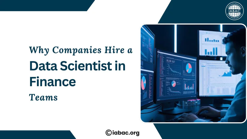 Why Companies Hire a Data Scientist in Finance Teams
