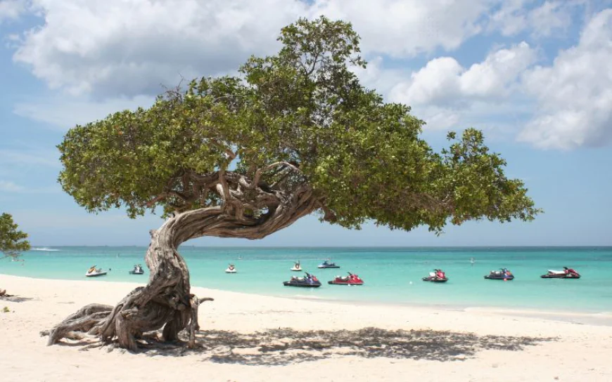Exploring Aruba: Geography, Culture, and Carnival Celebration Guide