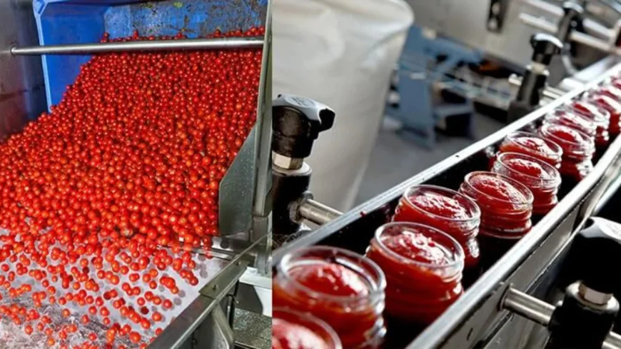 Keys to Running a Tomato Paste Manufacturing Plant Setup Report 2026: Cost Details