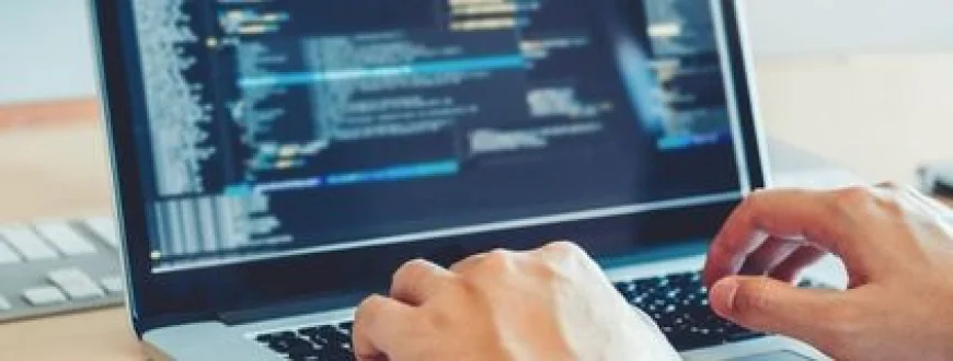 Website Development Agency vs Freelance Developer: Which Is Better for Your Business?