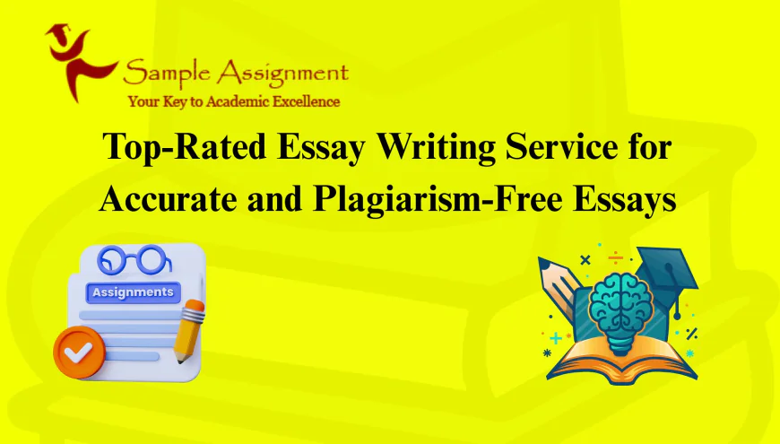 Top-Rated Essay Writing Service for Accurate and Plagiarism-Free Essays