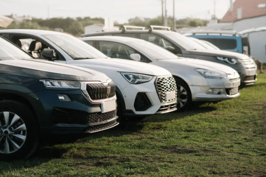 Car Service Near Parkland Citizens – EZ Drivers Limo