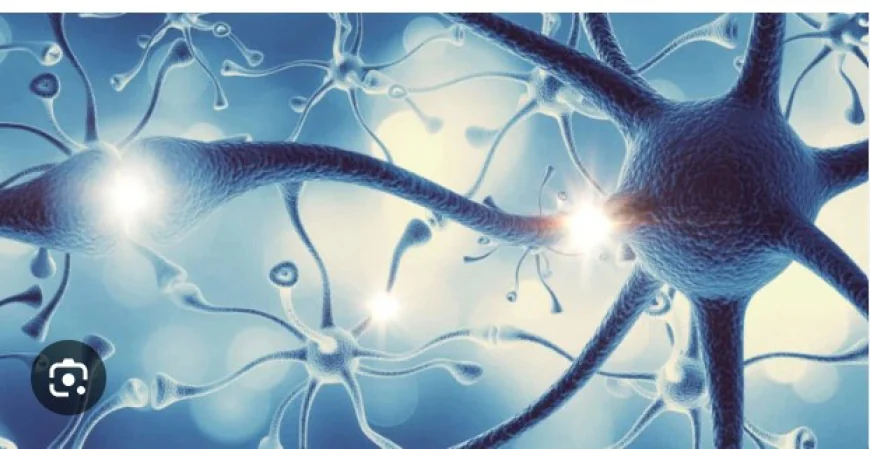 Understanding LSD: Effects, Research, and Responsible Awareness