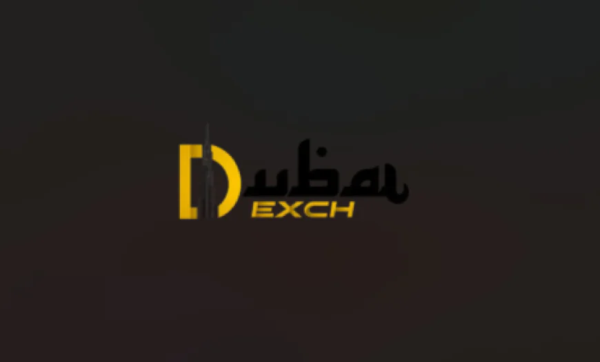 How Dubaiexchange365 Makes Online Sports Betting Easy for Beginners
