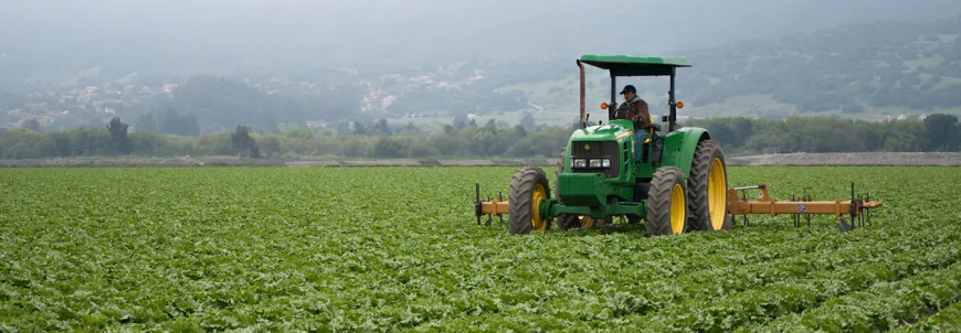 Why You Need an Agricultural CPA Tax Specialist in California