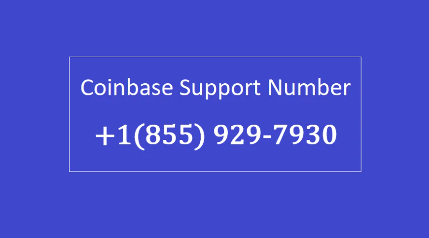How +1(855) 929-7930 Do You Get Money Out of Coinbase?