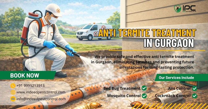 How Professional Anti-Termite Treatment in Gurgaon Protects Your Property