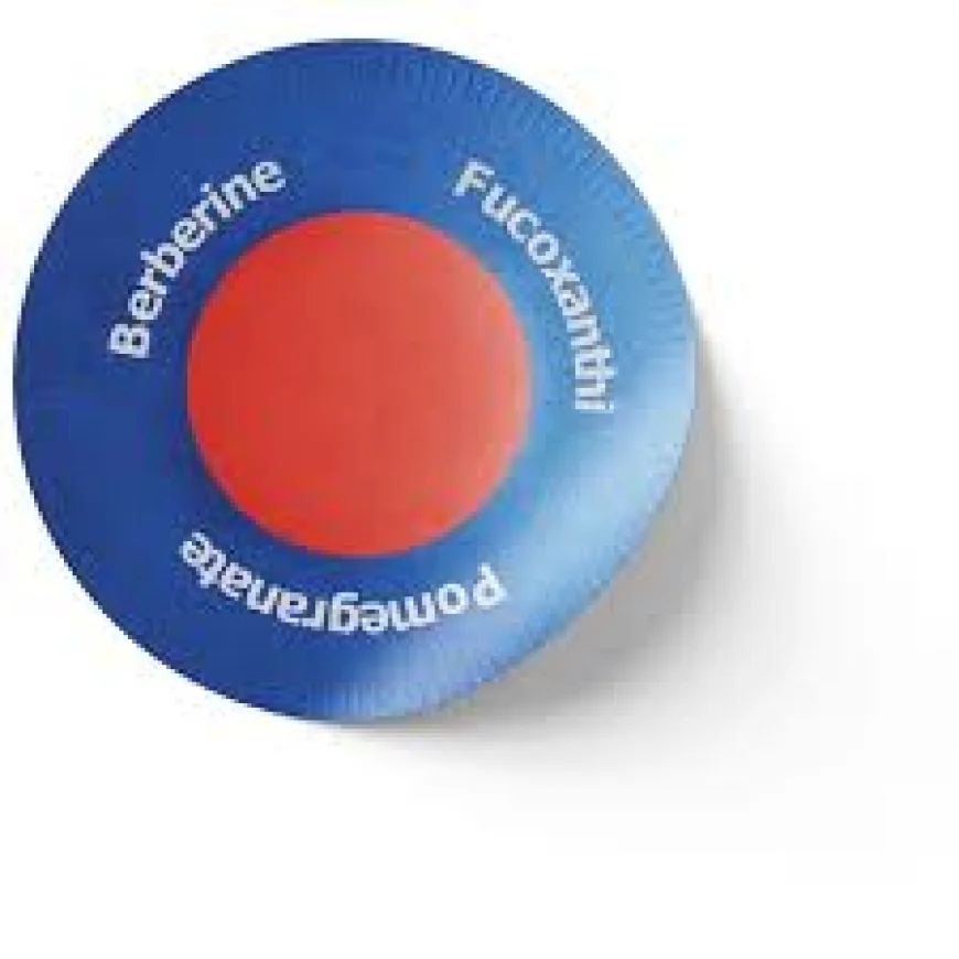 Can Purisaki patches help reduce food cravings?