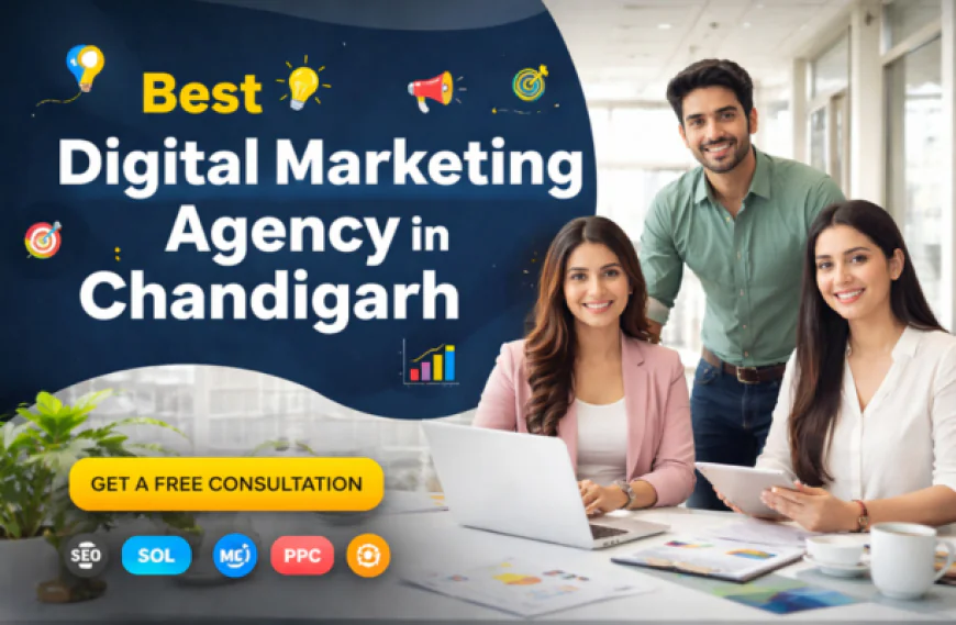 Best Digital Marketing Agency in Chandigarh – Grow Your Business with Hashtag Media And Entertainment India