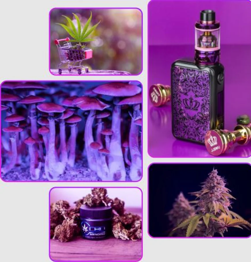 Discover the Best Vape Store in Cambridge for Premium Vaping Products