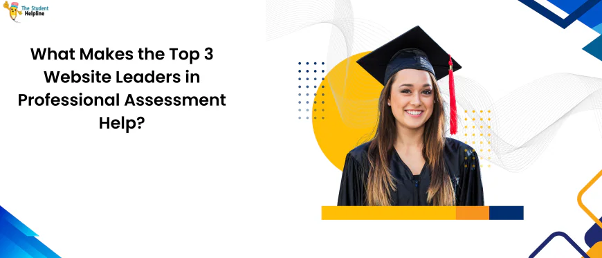 What Makes the Top 3 Website Leaders in Professional Assessment Help?