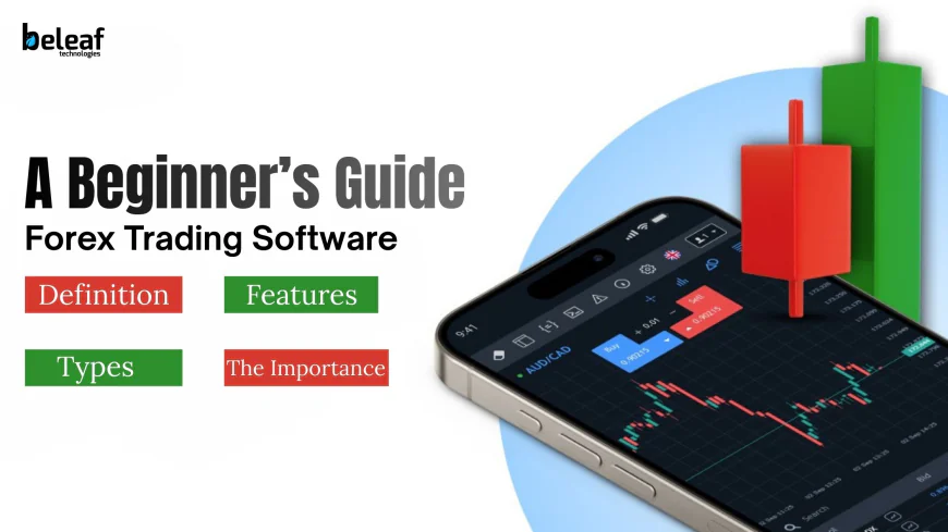 A Beginner’s Guide to Forex Trading Software and How It Works