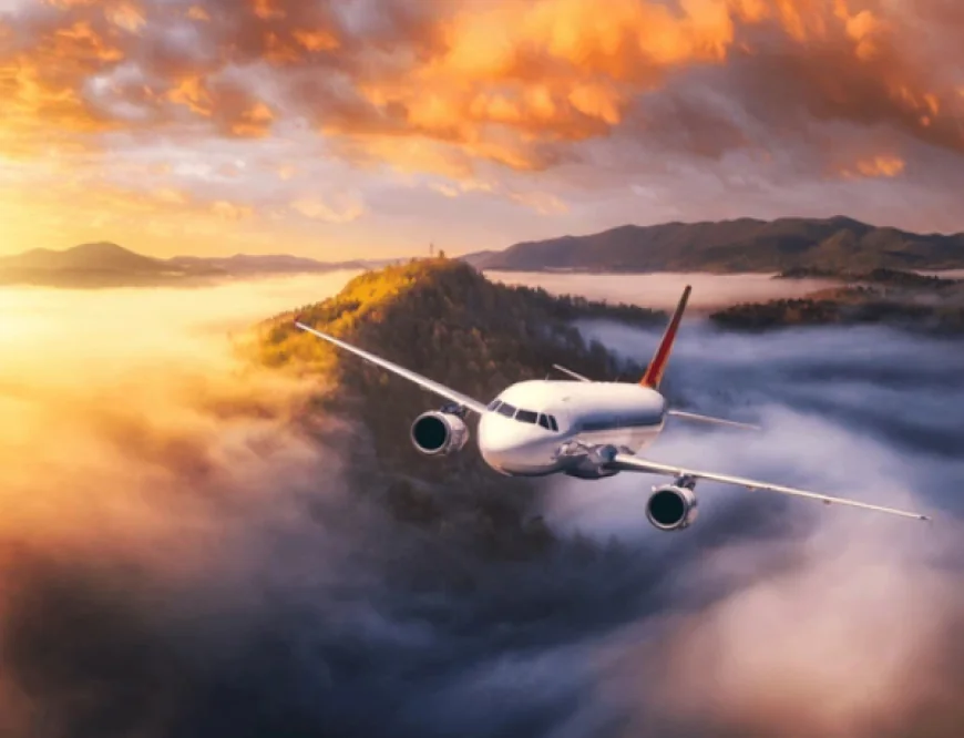 Hello, My dad's experience with FindAirportTerminal