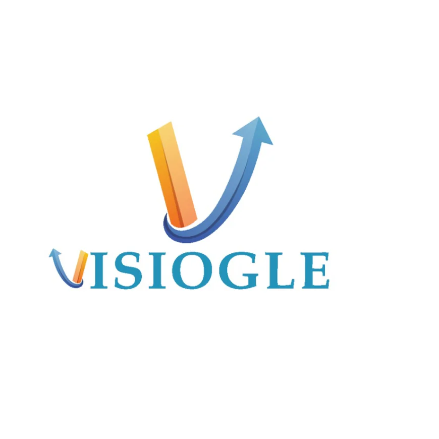 Why Visiogle is the Best SEO Company in India for Businesses That Want Real Growth