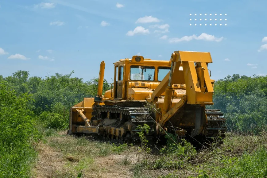 Practical Land Clearing and Mulching Services Explained