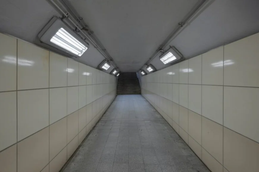 From Dark to Dreamy: Stunning Basement Finishing Ideas Taking Over Michigan Homes