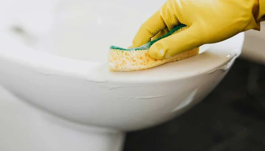 Office Cleaning Surrey & Commercial Cleaning Surrey: Creating Healthier, More Productive Workspaces