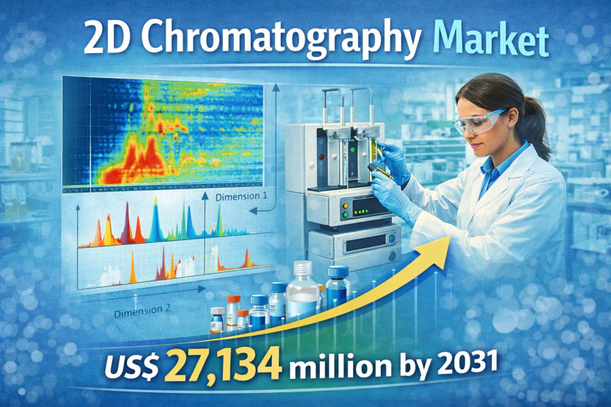 2D Chromatography Market: A Deep Dive into Analytical Precision and Future Projections (2025–2031)