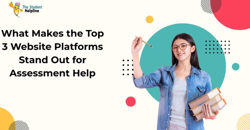 What Makes the Top 3 Website Platforms Stand Out for Assessment Help