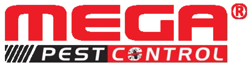 When Is the Best Time to Call Pest Control Abbotsford Experts?