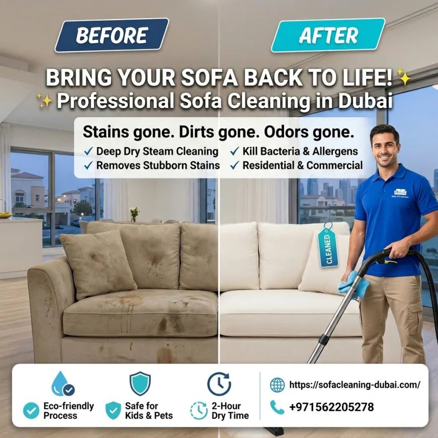 Affordable Sofa Cleaners for Homes