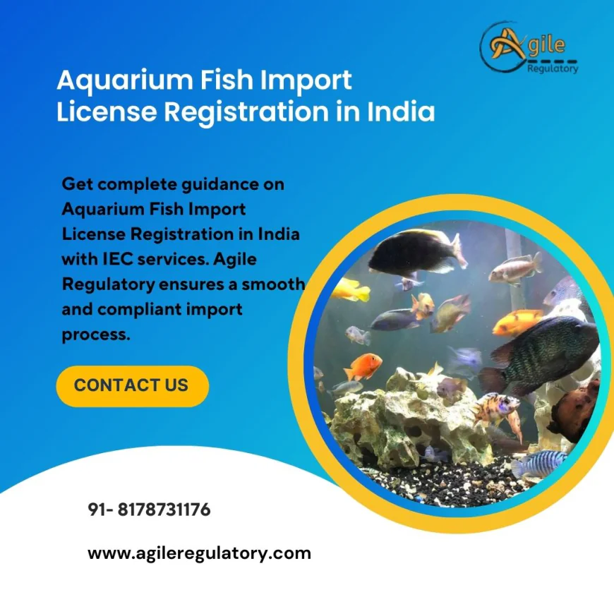 Simplifying Aquarium Fish Import License Registration in India