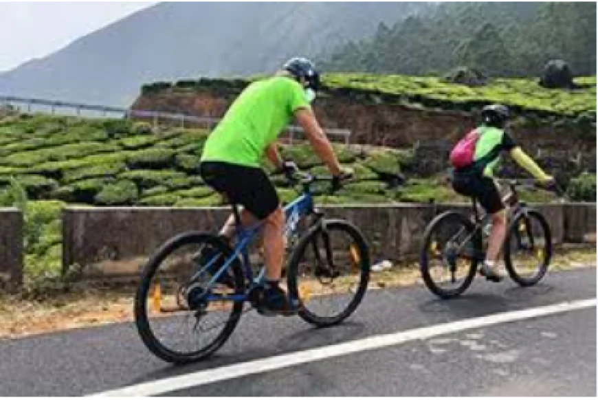 Exciting Adventure Activities to Experience While Visiting Kerala