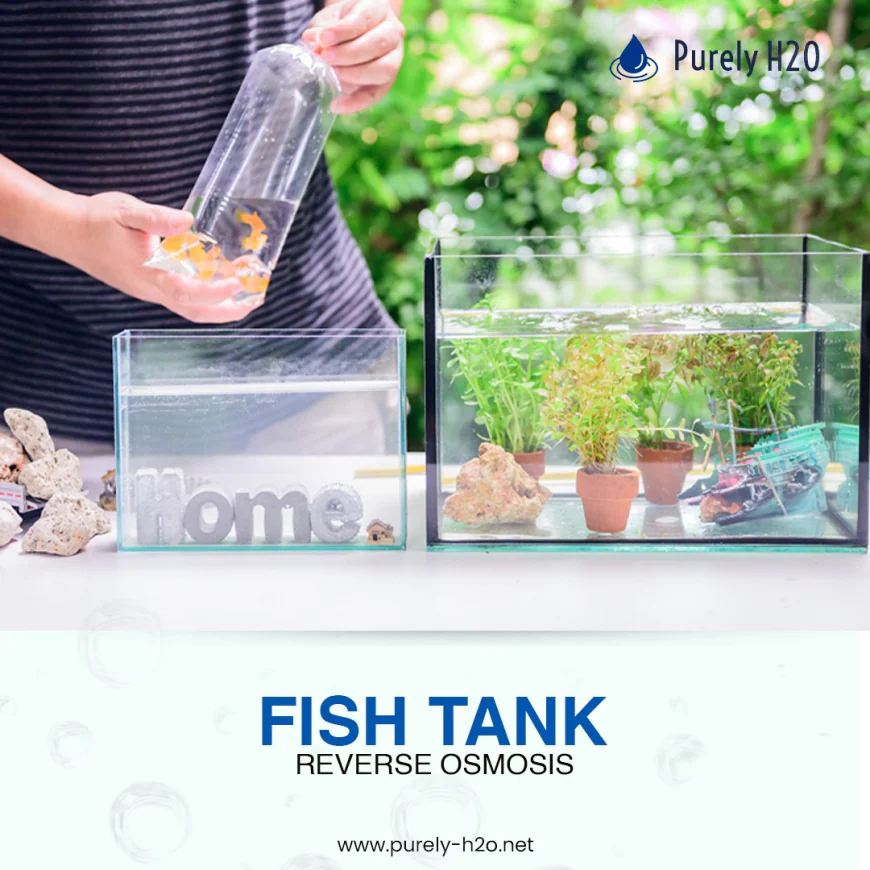 Does Fish Tank Reverse Osmosis Remove Chlorine and Heavy Metals Completely?