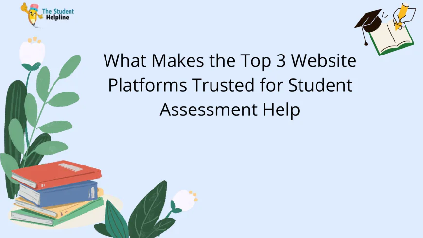 What Makes the Top 3 Website Platforms Trusted for Student Assessment Help