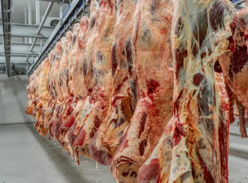 Grass Fed Beef From Real Texas Ranch Families You Trust