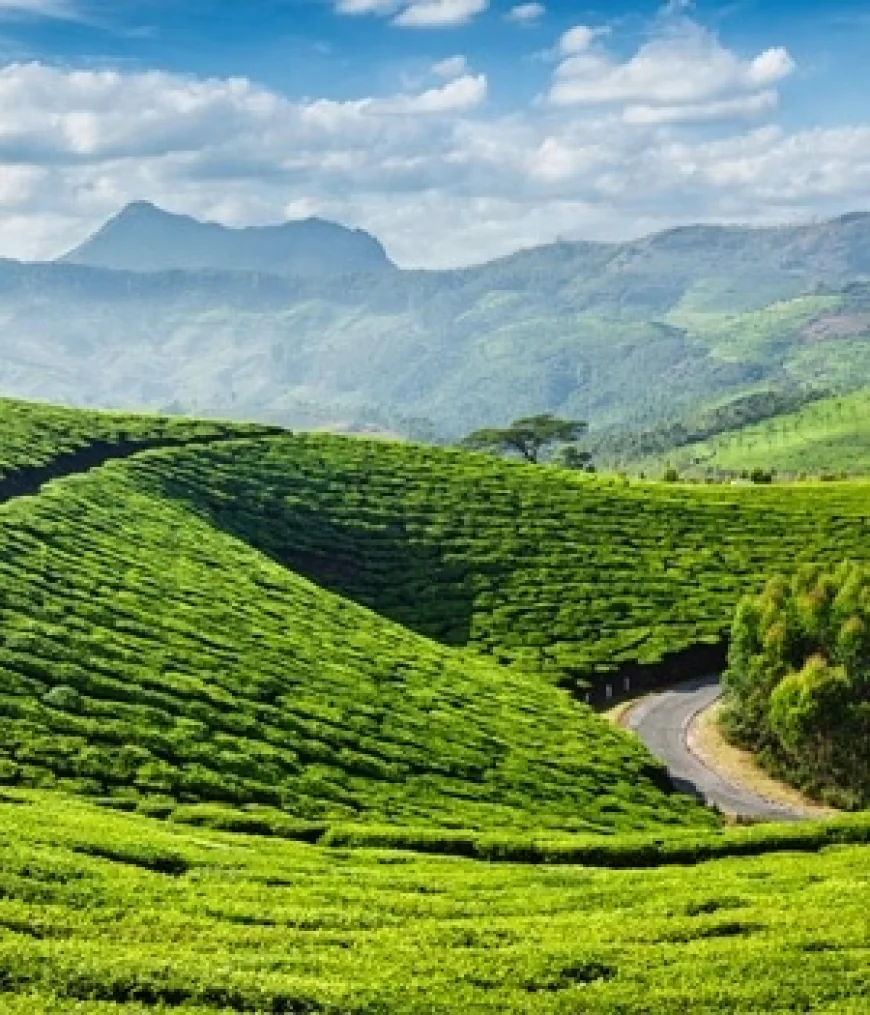 Why Kerala Is Perfect for Couples and Families