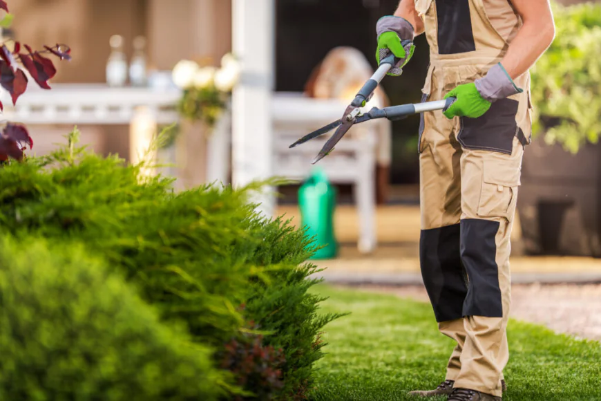 Winter Care Service: Keeping Your Outdoor Spaces Healthy All Season